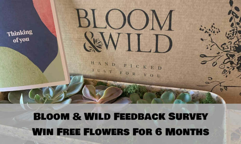 bloomandwild/feedback